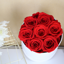 Load image into Gallery viewer, Preserved Red Roses in Basic Round Box
